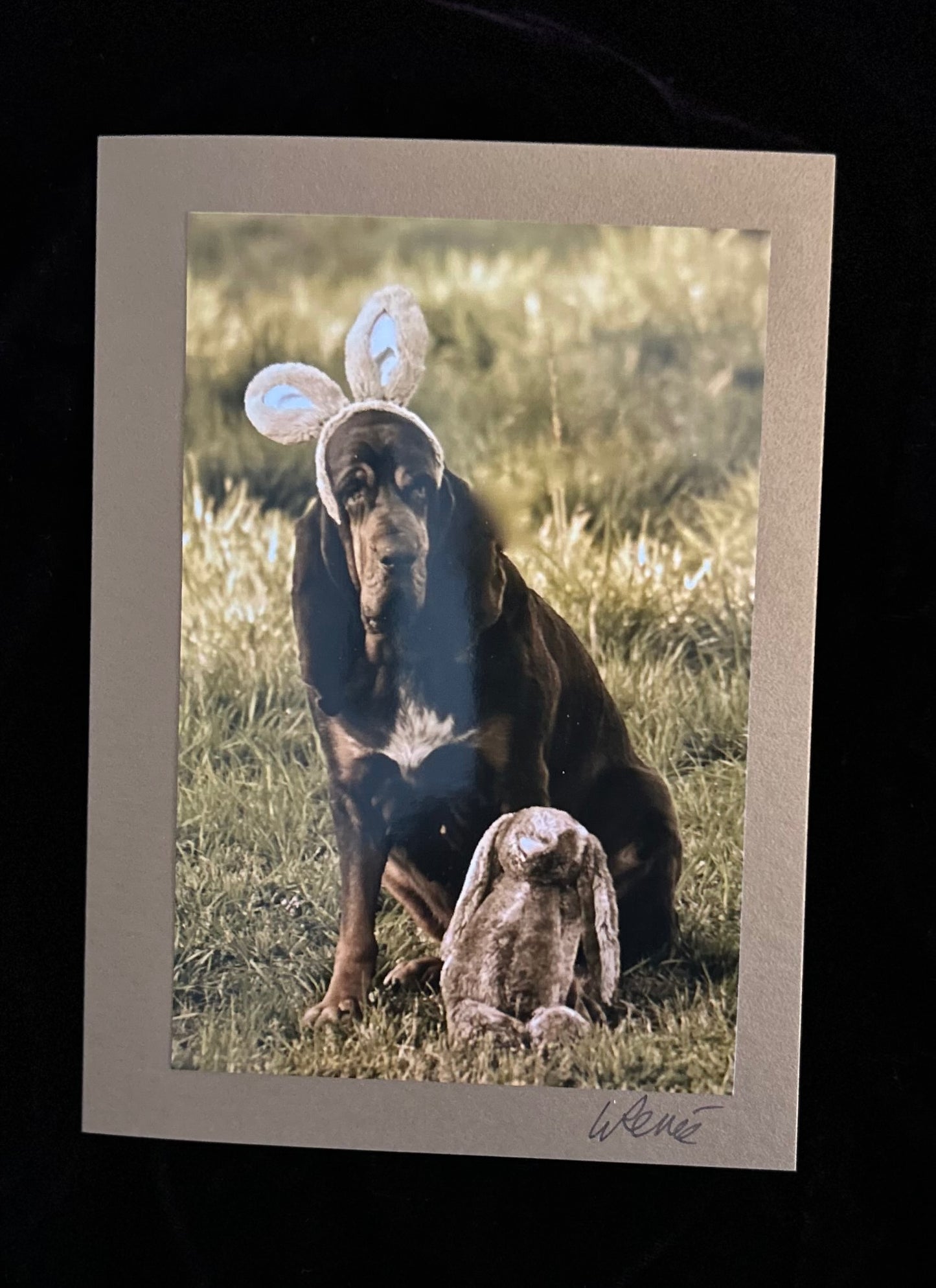 Whiskey River the Bloodhound Easter Disguise in Sepia Tones