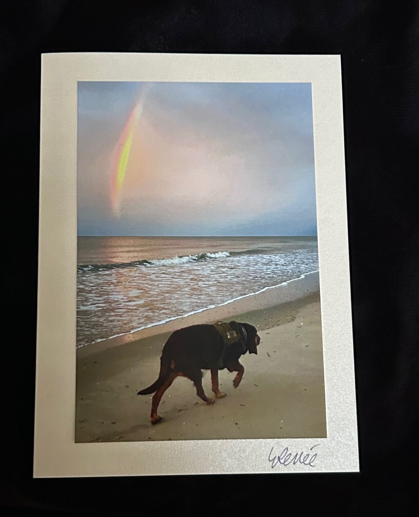 Dog Sympathy Card: Rainbow