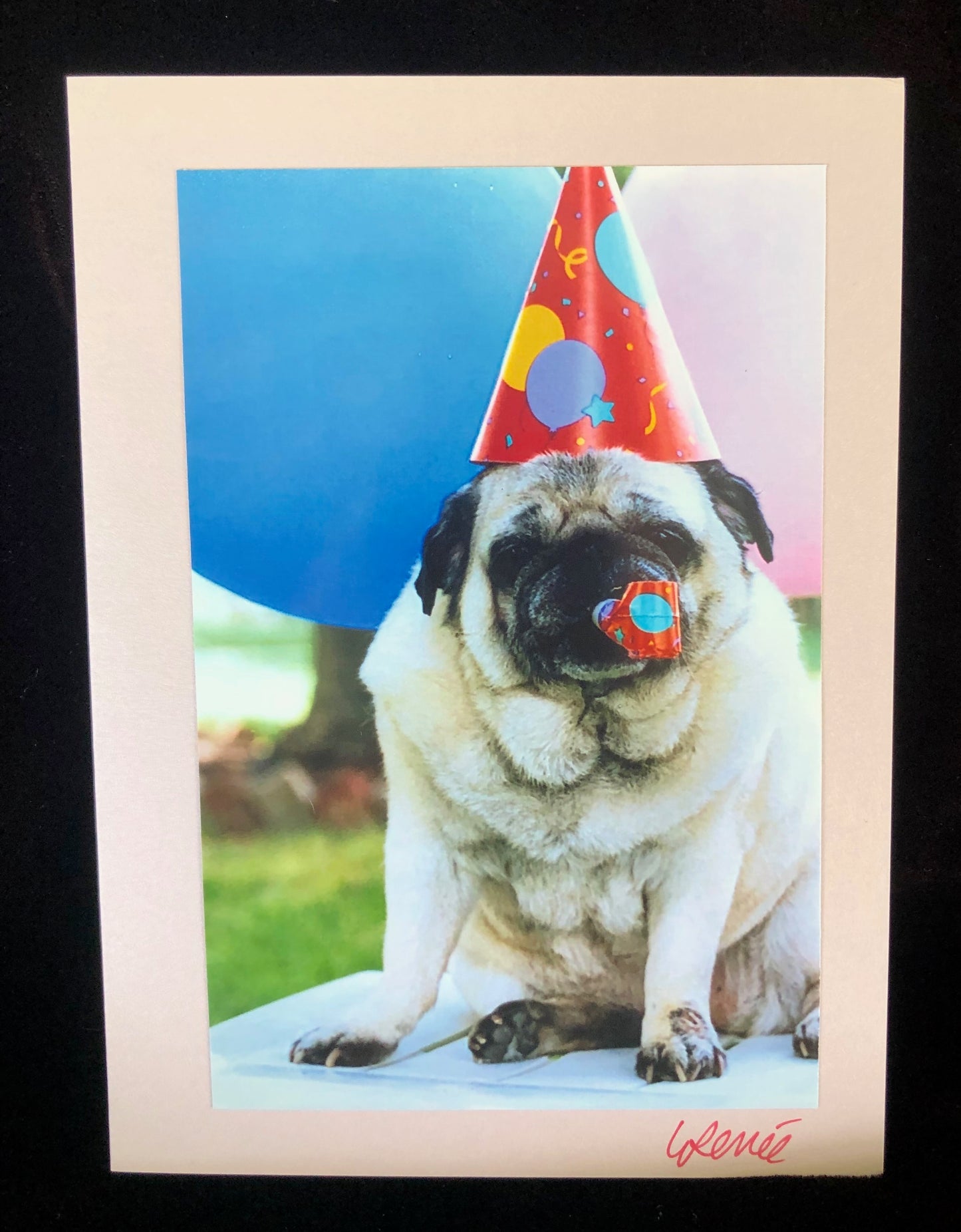 Birthday card featuring Chinese Pug wearing pointed birthday hat with a party blower in mouth. Balloons in background.