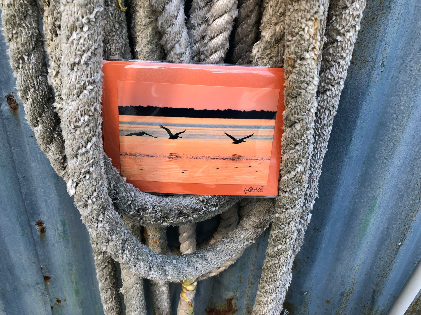 Trio of pelicans in silhouette at sunrise, skimming over the river. Sky and water are orange.