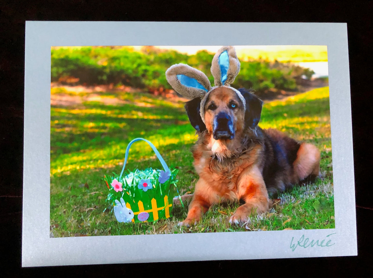 Charlie With His Easter Basket