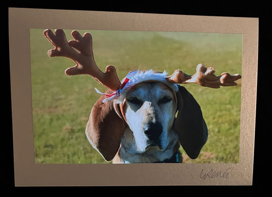 Red Tick Reindeer