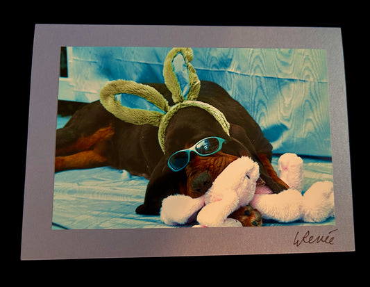Easter Bunny Cool