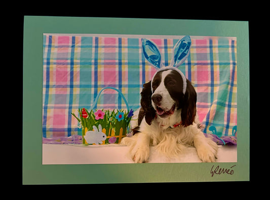 Easter Bunny Beau