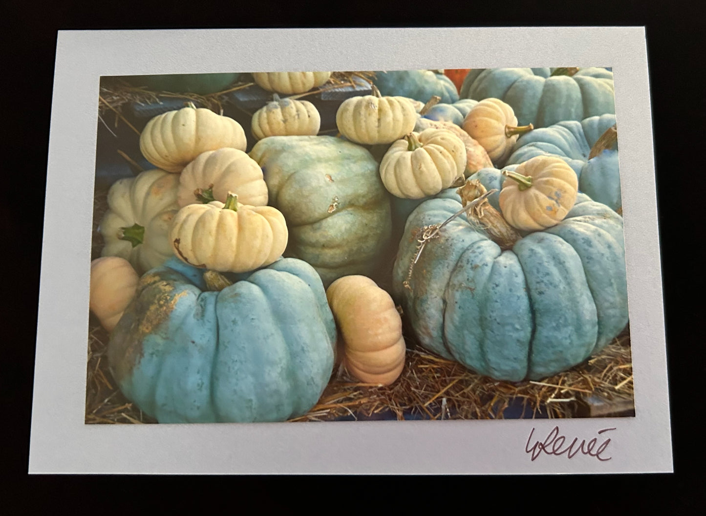 Blue Moon Pumpkins