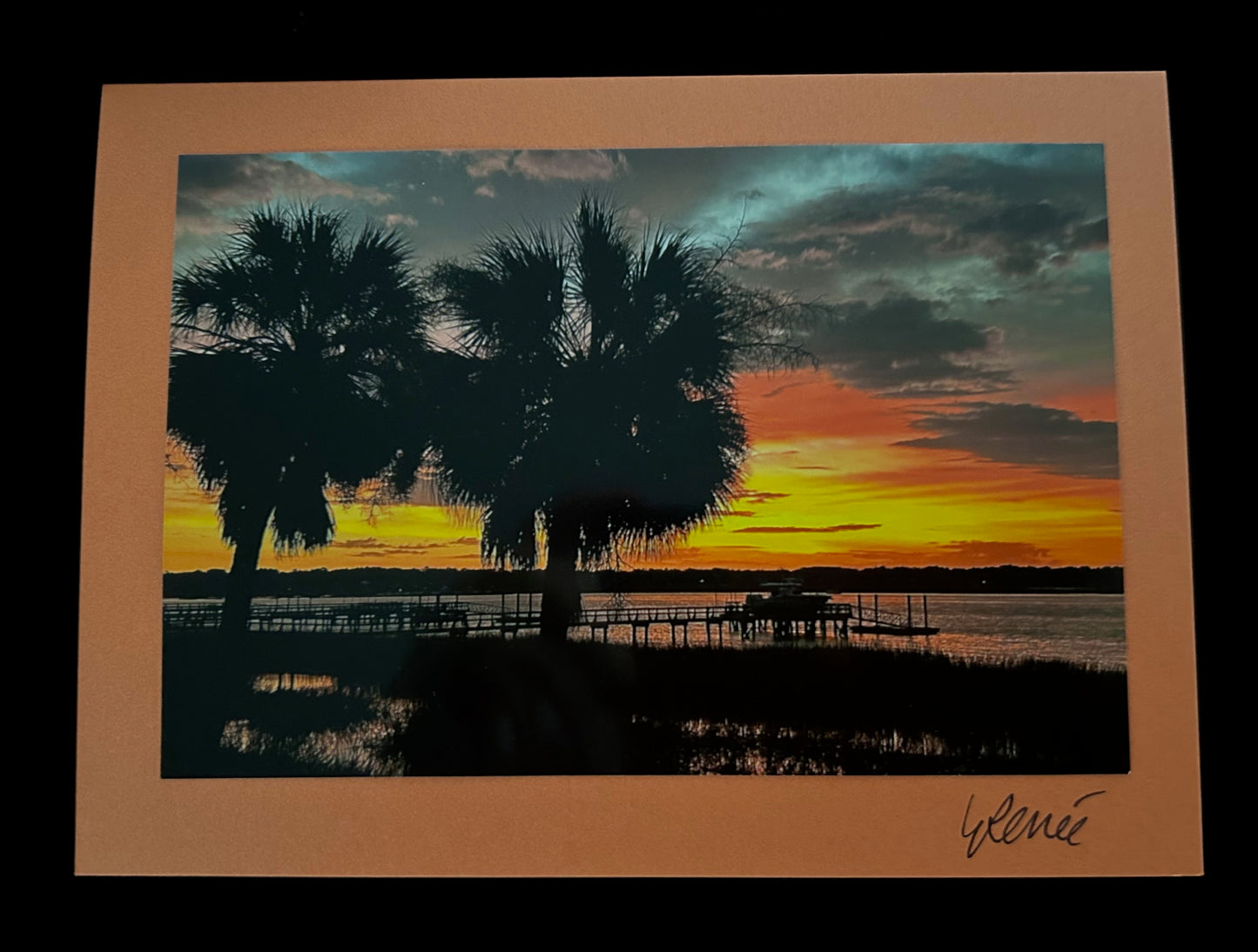 Palmetto Palms in Silhouette