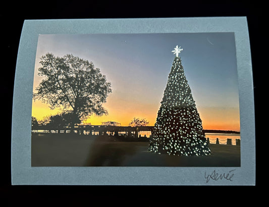 Christmas Tree at Beaufort Waterfront