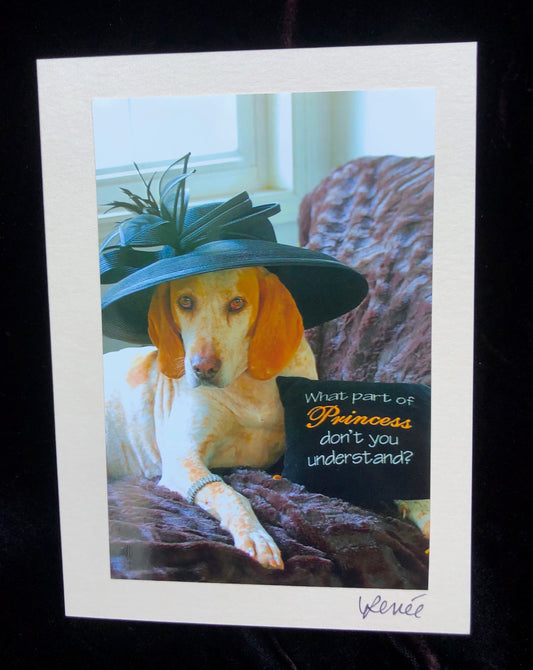 Blue Tick Hound wearing rhinestone bracelet on leg, fancy black hat with feathers, and posting next to a pillow that says "What Part of Princess Don't You Understand?"