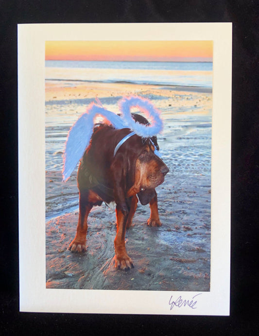 Bloodhound on the beach at sunrise wearing angel wings and halo.