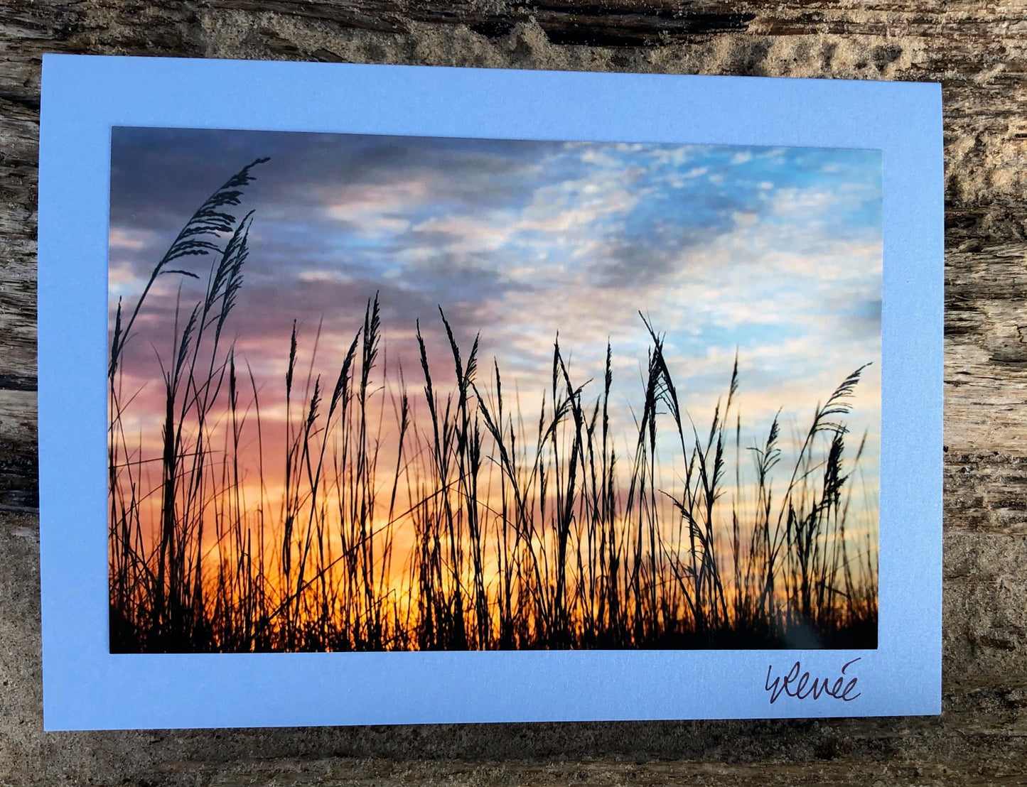 Sea Oats in Silhouette at Sunrise