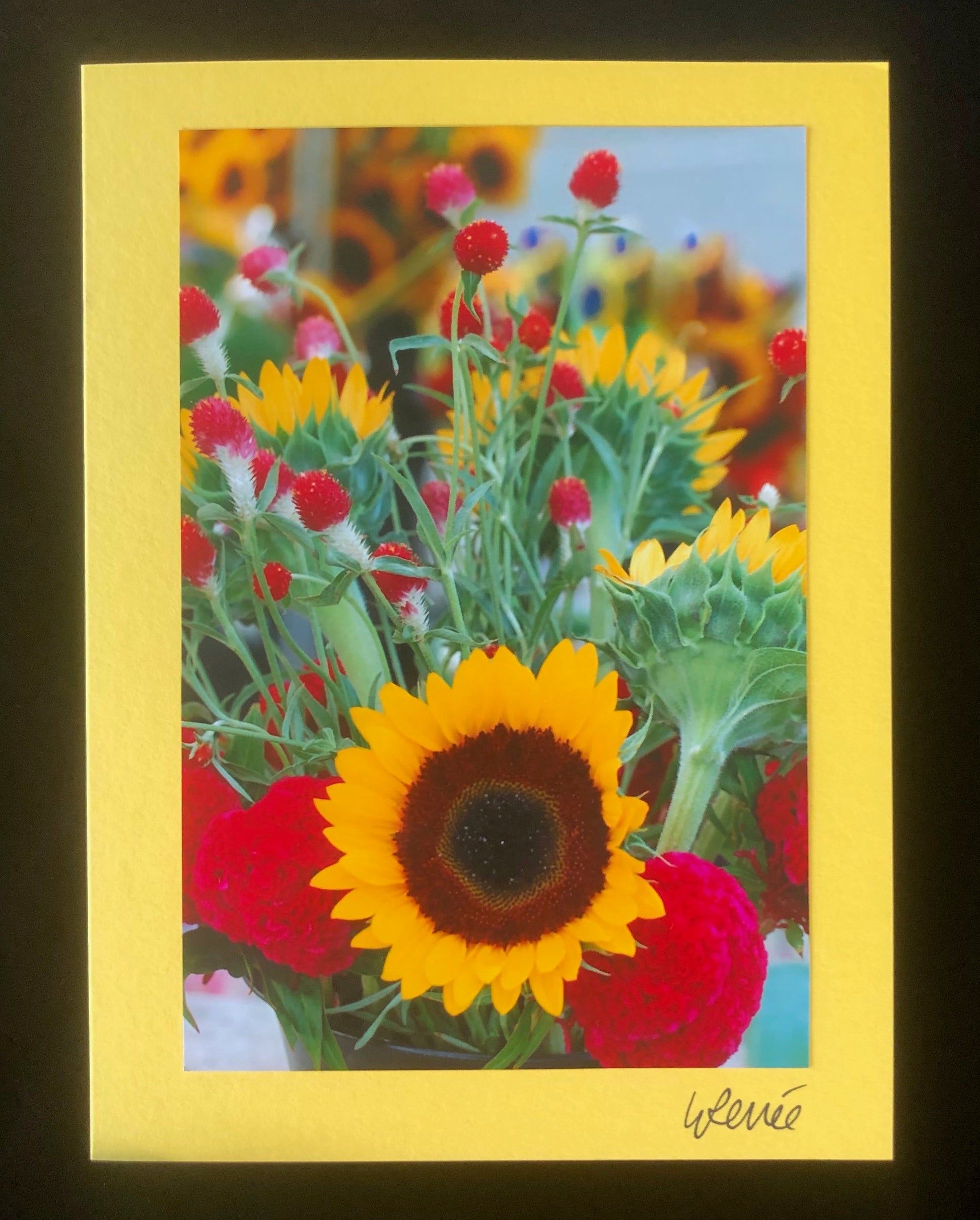 Bright, yellow sunflowers with red clover at farmers market booth.