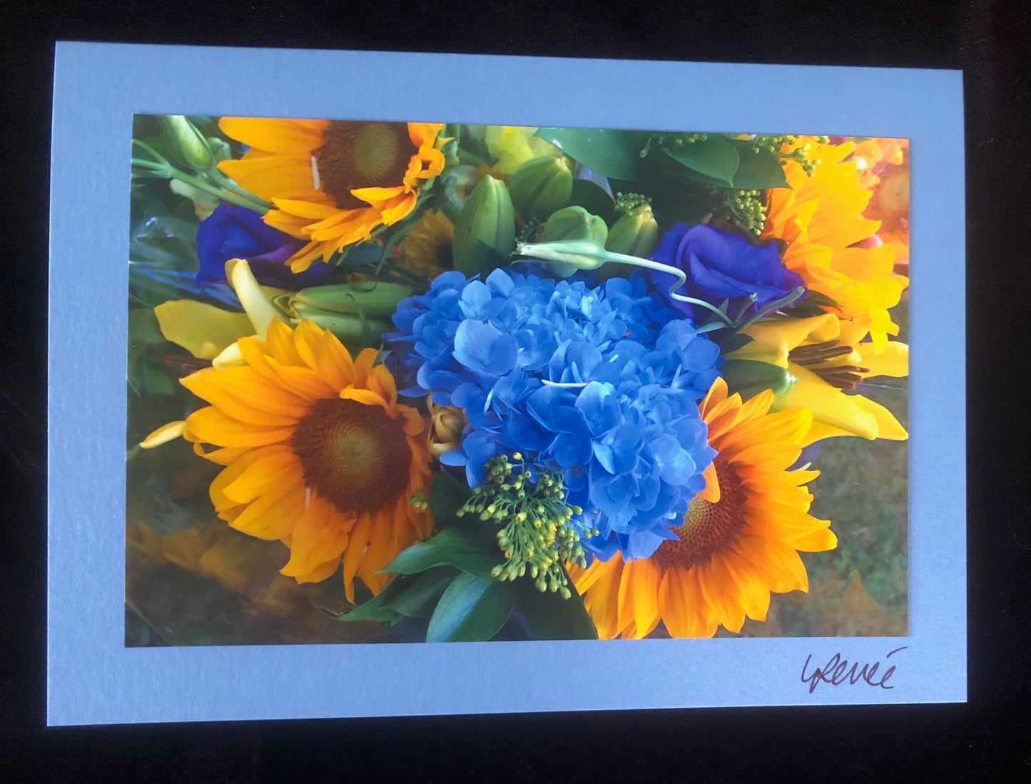 Bright yellow sunflowers with blue hydrangea arranged in a bouquet at a farmers market.