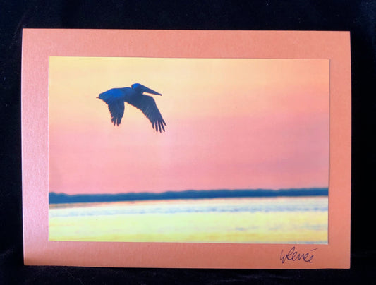 Pelican in flight over the Cape Fear River.  Sky is orange and water has orange reflections.