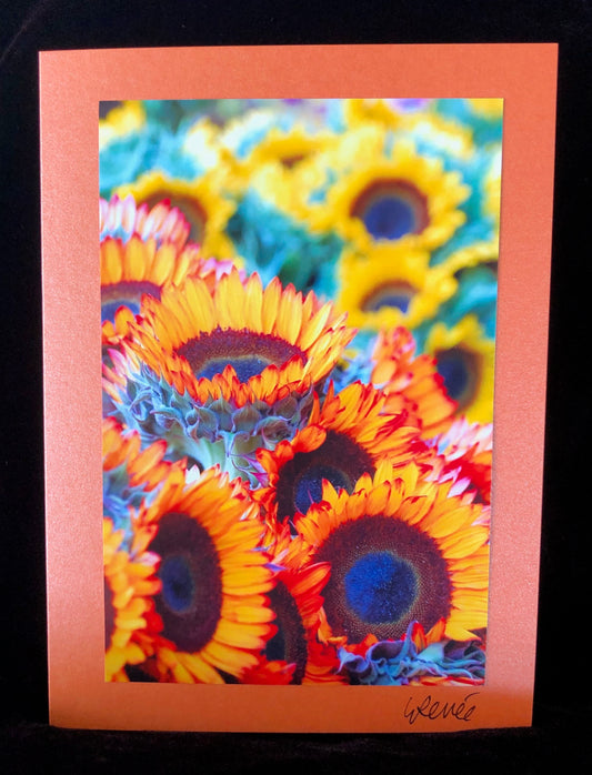 Orange and Yellow Sunflowers