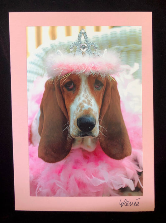 A young, tri-colored basset hound with very long ears wears a pink feather boa and a tiara with pink feathers and rhinestones.