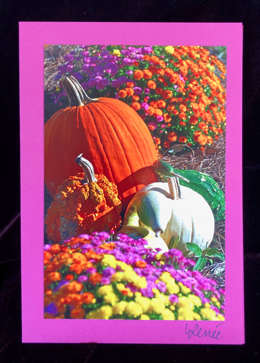 Ghost pumpkin, bright orange pumpkin, and green gourd with colorful mums on display for fall.