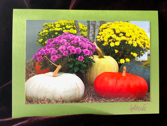 Pumpkin Trio with Mums