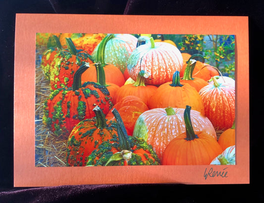 Warty pumpkins and regular pumpkins stacked up at Farmers Market on table.