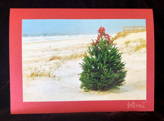 Christmas Tree on the Beach