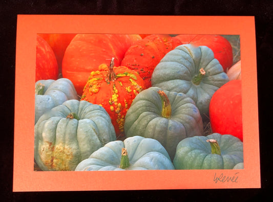 Colorful orange and teal pumpkins at the Farmers Market.